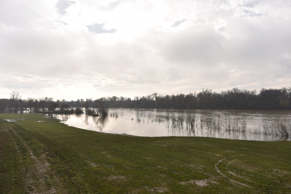 Las aguas vuelven a su cauce en la ribera alta del Ebro.