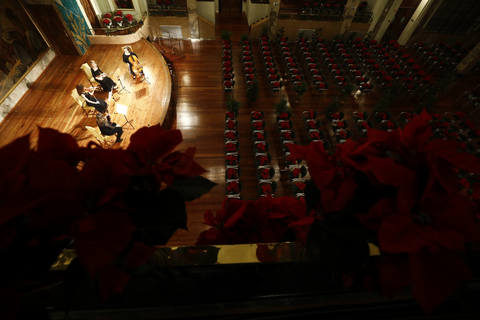 Concierto solidario del cuarteto de la Orquesta del Reino de Aragón para cientos de plantas