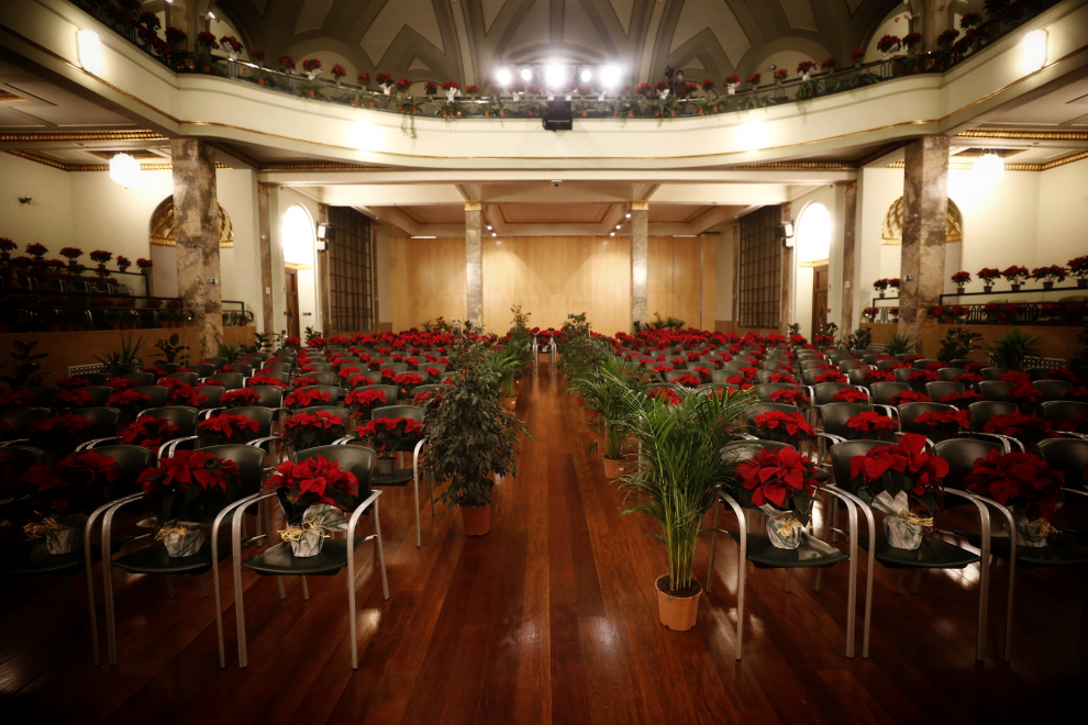 Concierto solidario del cuarteto de la Orquesta del Reino de Aragón para cientos de plantas