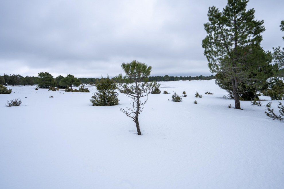 paisajes nevados en Teruel. Laguna Rubienes helada . Foto Antonio Garcia/Bykofoto. 20/01/21[[[FOTOGRAFOS]]]