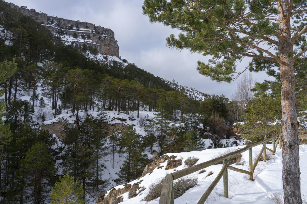 paisajes nevados en Teruel. Cascada de Calomarde helada . Foto Antonio Garcia/Bykofoto. 20/01/21[[[FOTOGRAFOS]]]