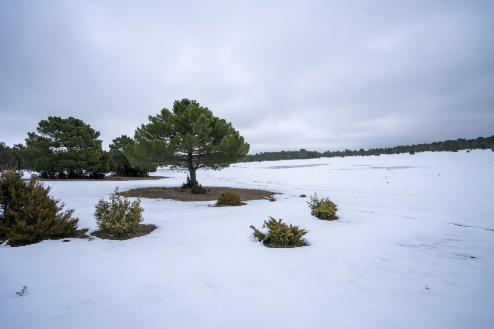 paisajes nevados en Teruel. Laguna Rubienes helada . Foto Antonio Garcia/Bykofoto. 20/01/21[[[FOTOGRAFOS]]]