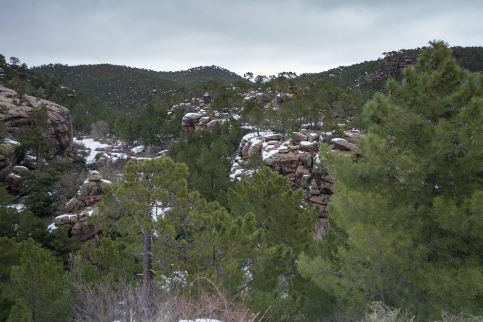 Paisajes nevados en Teruel. Pinares del Rodeno en la Sierra de Albarracin