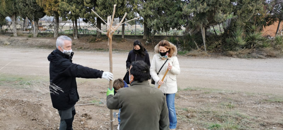 Plantación de 50 árboles en La Cartuja, este sábado.
