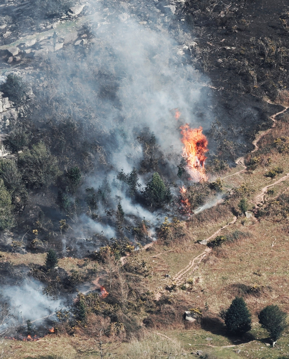 Los bomberos ven complicado que el incendio forestal llegue a controlarse hoy