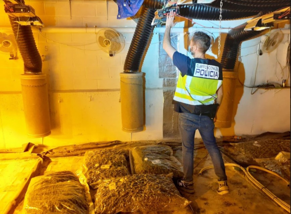 La Policía desmantela una plantación de marihuana a gran escala y para exportar en una nave de Fuentes de Ebro