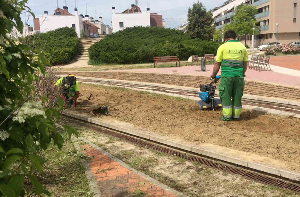 Los usuarios de Arcadia realizan el servicio con total profesionalidad.