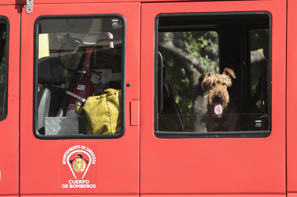 La unidad canina de los Bomberos