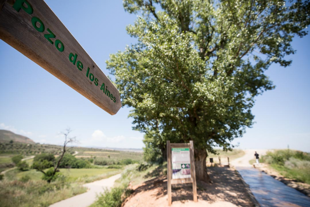 Pozo de los Aines
