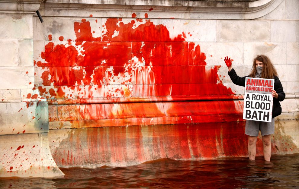 Los animalistas tiñen de rojo la fuente del Palacio de Buckingham