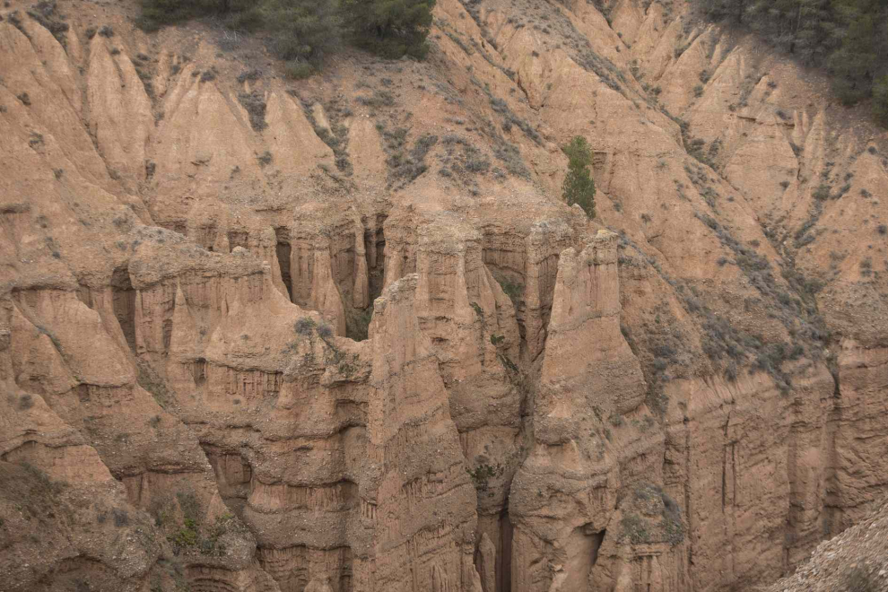 Cárcavas de Morata de Jiloca