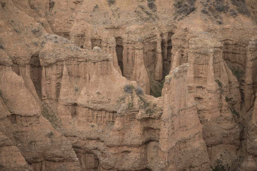 Cárcavas de Morata de Jiloca