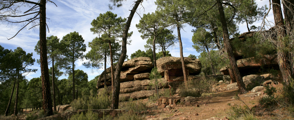 Pinares de Rodeno, en la Sierra de Albarracín.