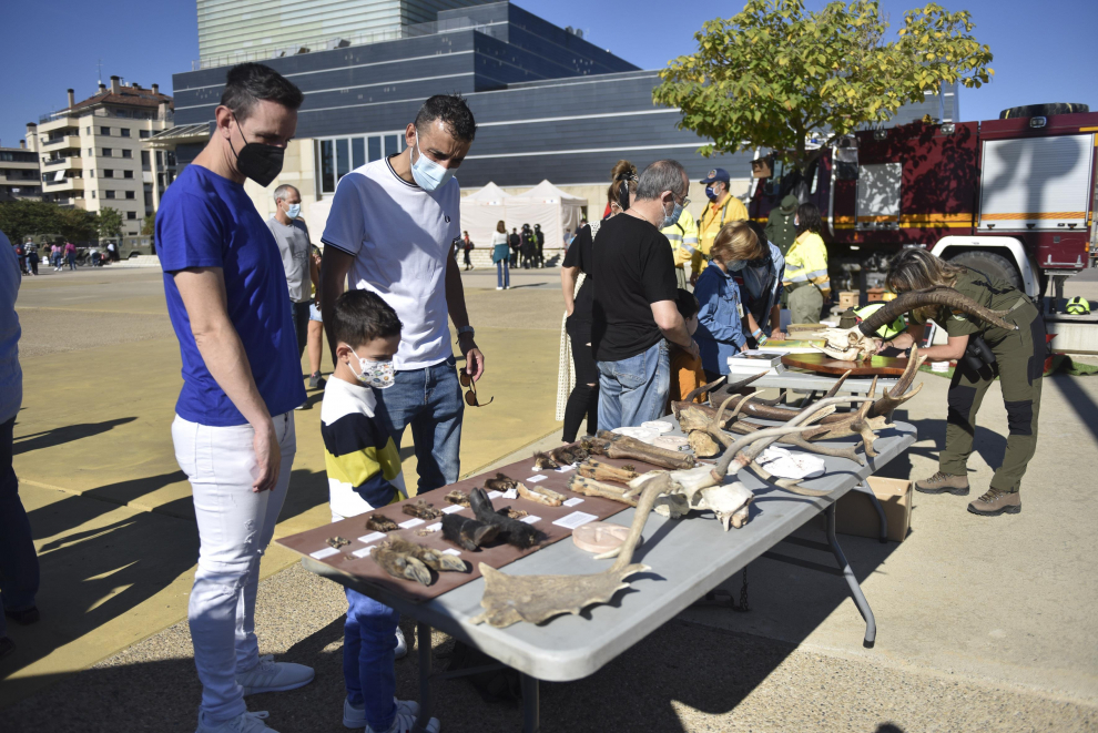 Diferentes cuerpos policiales y servicios de emergencia han participado este domingo en Huesca en el encuentro solidario a beneficio de la Asociación Sonrisas.