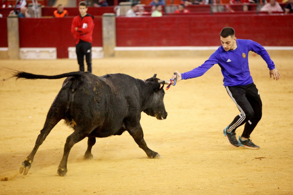 A pocos días de que comiencen las ‘no fiestas’ del Pilar 2021, nos ponemos nostálgicos y tiramos de archivo para recordar algunos de los mejores momentos que nos dejaron los Pilares del 2019, los últimos que vivimos antes de que el covid irrumpiera en nuestras vidas, llenos de conciertos, ferias, música... y mucha gente y alegría en las calles.