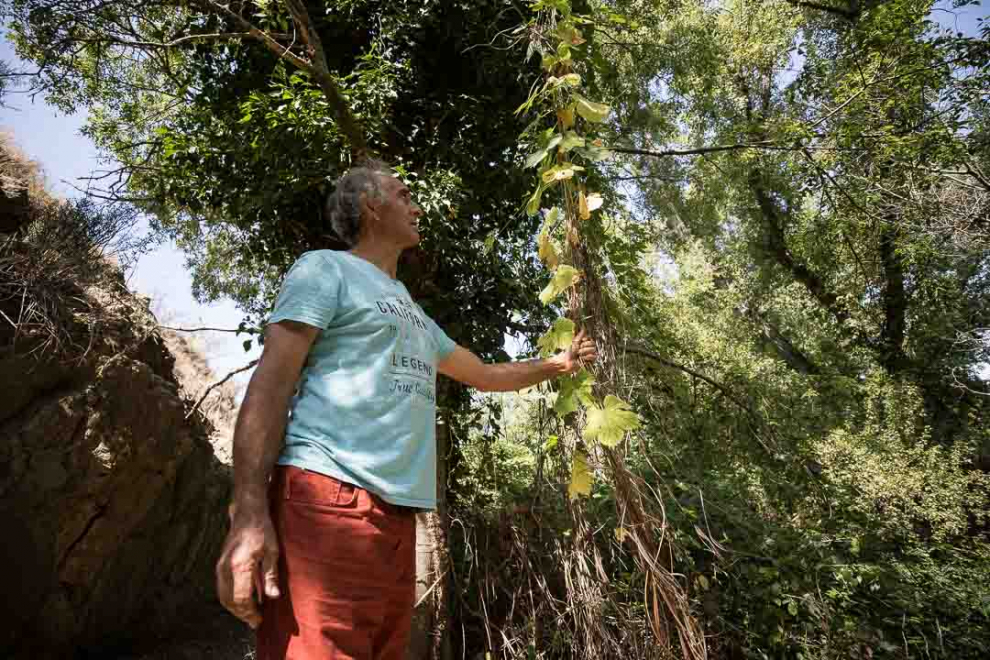Ruta de las pasarelas de la presa romana del S.I