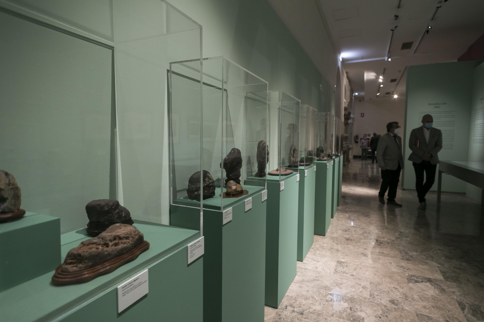 El Museo de Zaragoza acoge una exposición sobre bonsáis