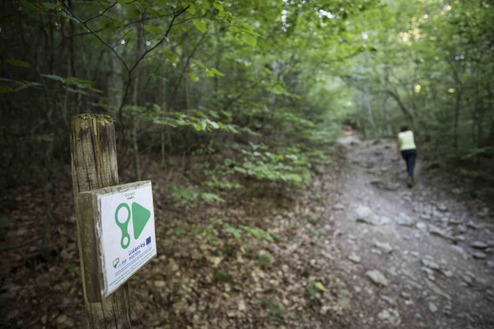 El bosque del Betato, que separa a Tramacastilla de Piedrafita