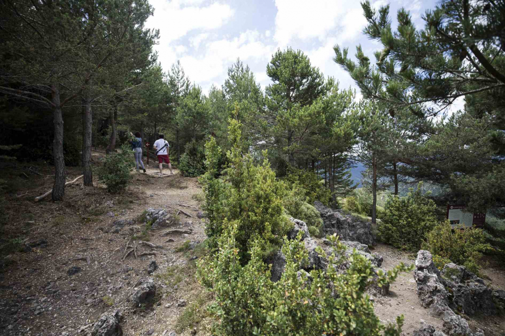 Parque de las Brujas a las afueras del pueblo de Laspaúles