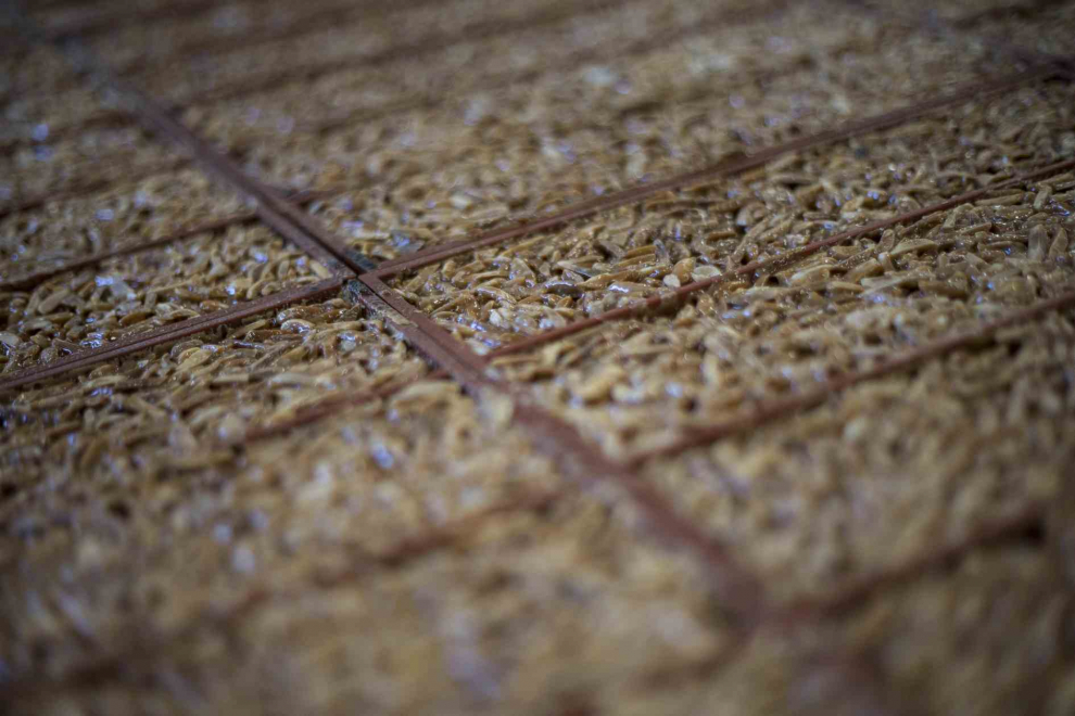 Chocolates Brescó en Benabarre.