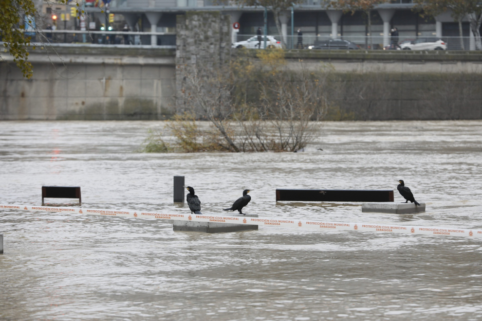 El río Ebro, a su paso por Zaragoza este martes, 14 de diciembre.