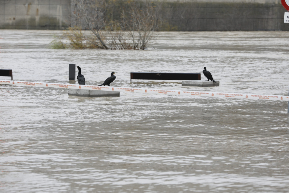El río Ebro, a su paso por Zaragoza este martes, 14 de diciembre.