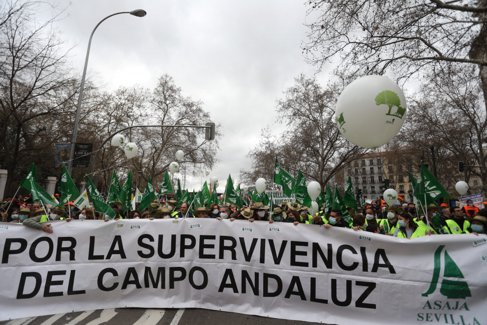 Manifestación del campo en Madrid en defensa del medio rural