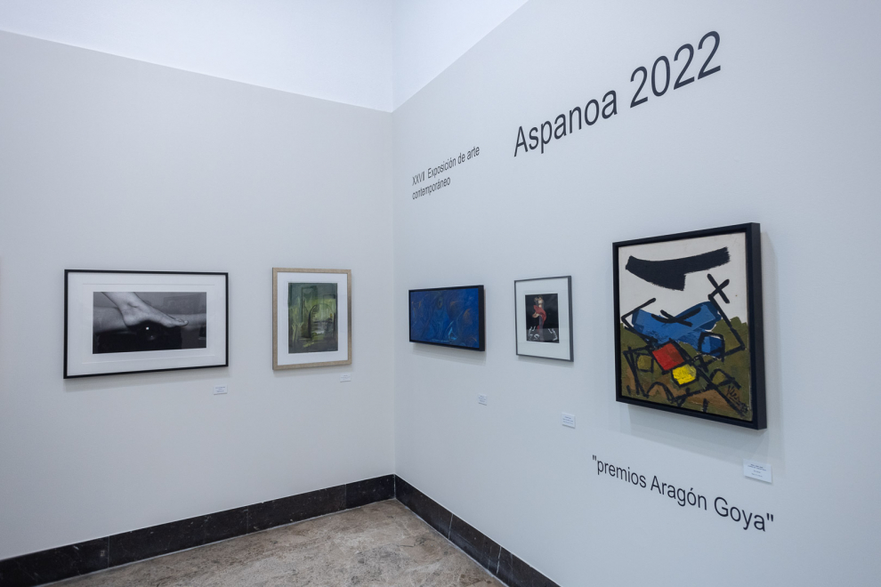 Exposición solidaria de Aspanoa en el Museo de Zaragoza