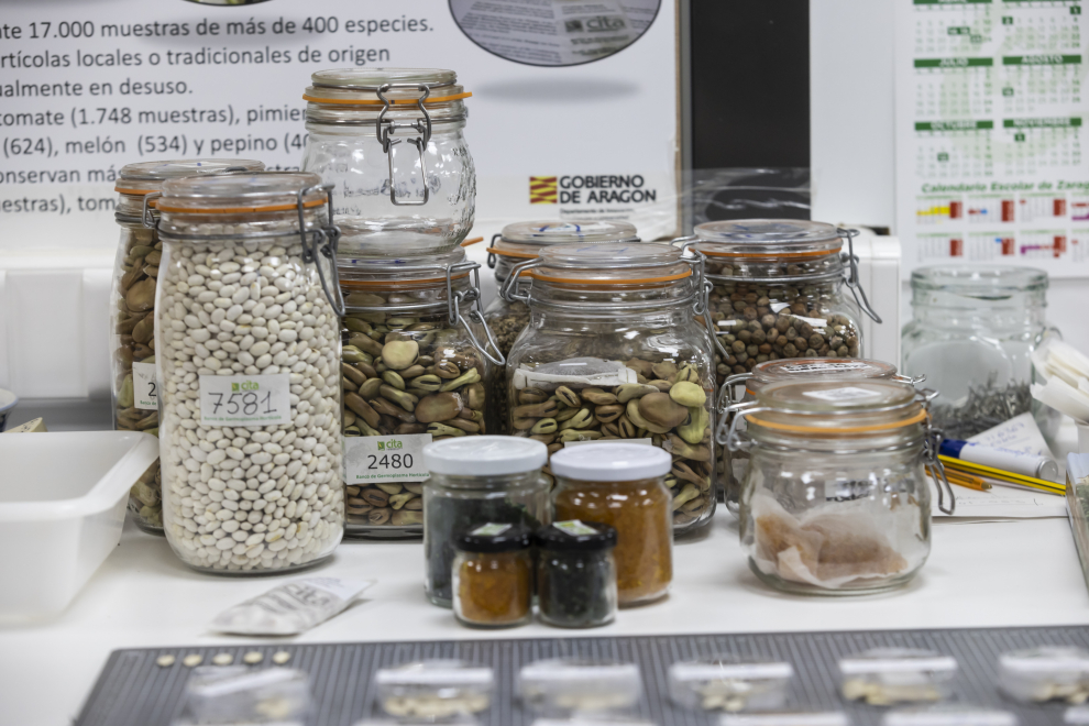 Banco de Germoplasma Hortícola de Zaragoza, en el CITA.