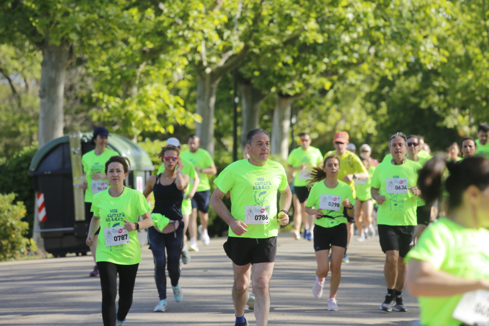 El parque Grande José Antonio Labordeta se ha convertido este domingo por la mañana en un hervidero de gente. Cientos de corredores han participado en las dos pruebas de la VIII Carrera solidaria de Atades, en una mañana llena de actividades y de ambiente festivo.
