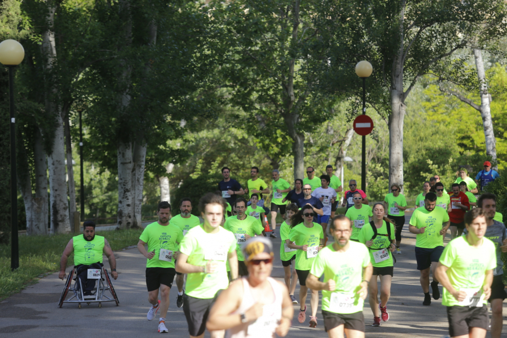 El parque Grande José Antonio Labordeta se ha convertido este domingo por la mañana en un hervidero de gente. Cientos de corredores han participado en las dos pruebas de la VIII Carrera solidaria de Atades, en una mañana llena de actividades y de ambiente festivo.