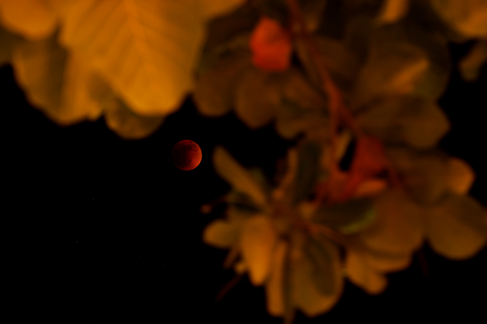 Total lunar eclipse, in Tinum