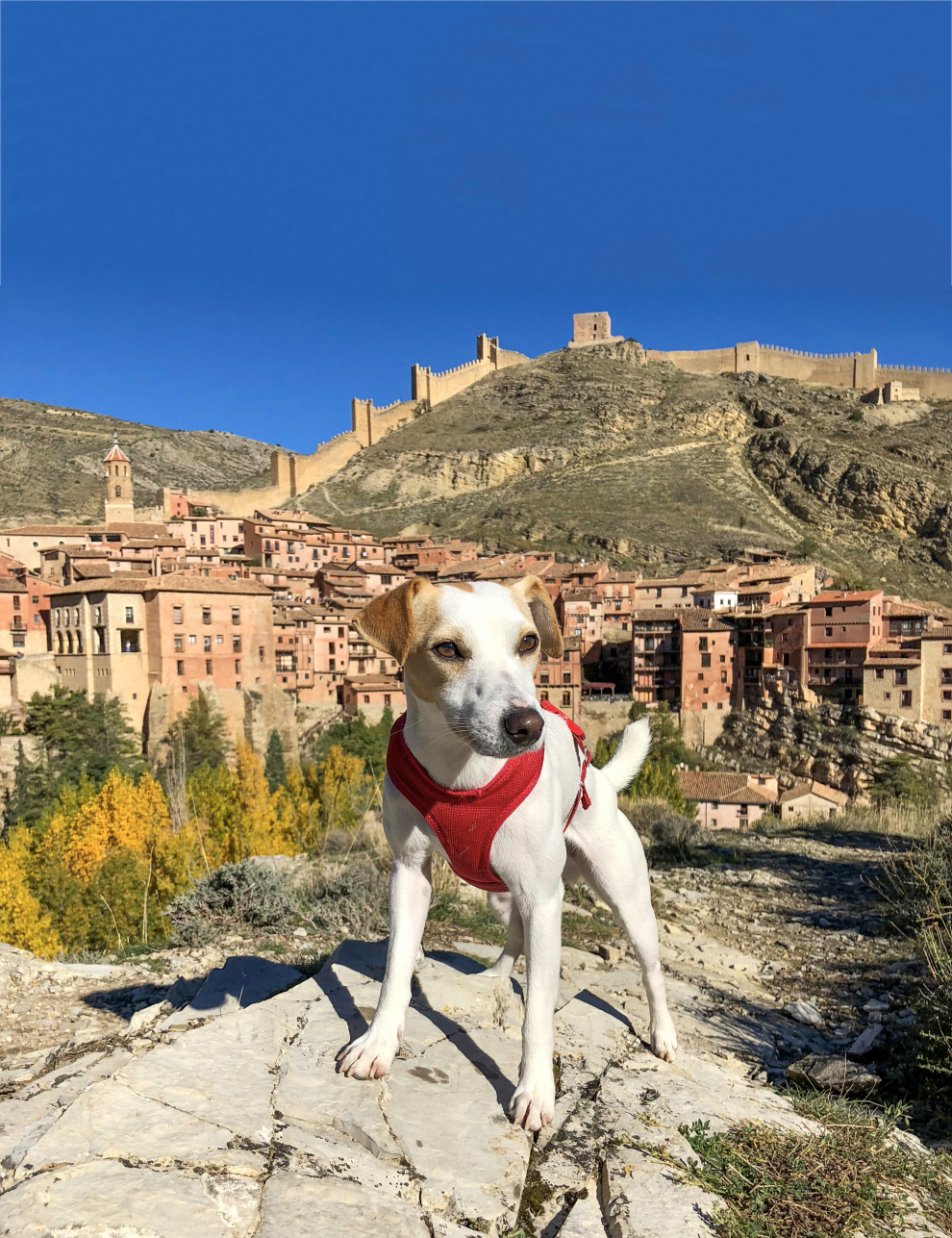 Pipper, en la Sierra de Albarracín.