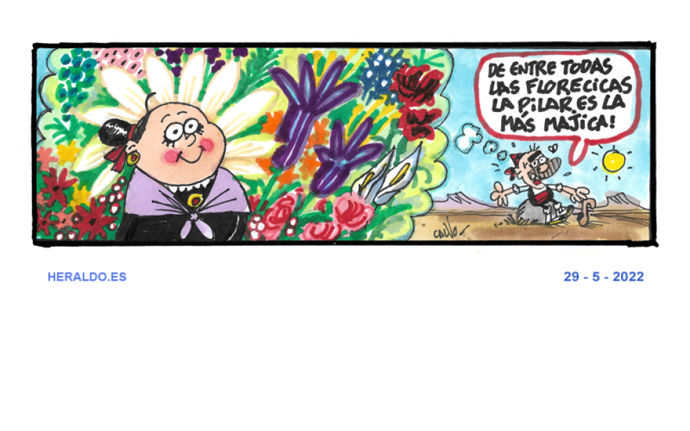 Supermaño florecicas