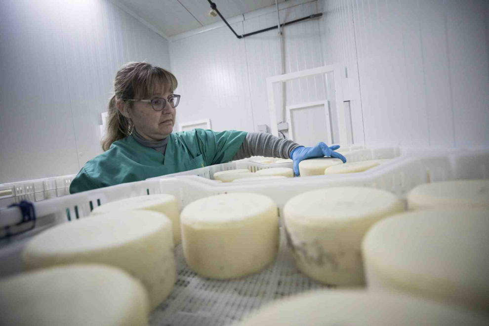 Instalaciones y el proceso de elaboración de quesos en la Quesería Val de Cinca.