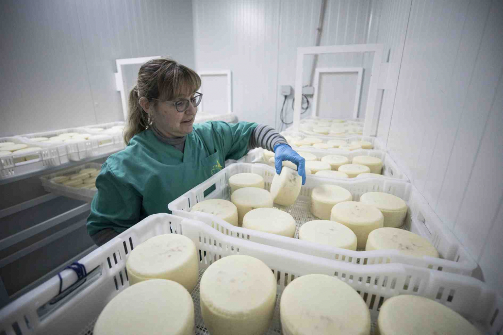 Instalaciones y el proceso de elaboración de quesos en la Quesería Val de Cinca.
