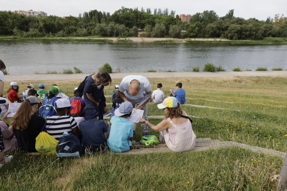 Visita geológica al río Ebro de 50 niños de Primaria de Zaragoza