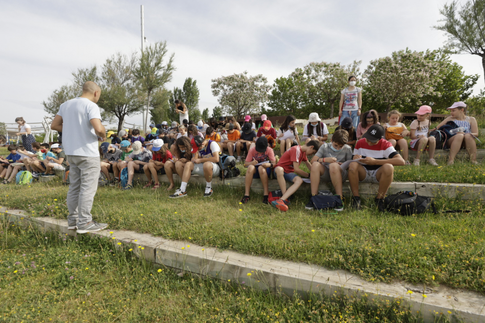 Visita geológica al río Ebro de 50 niños de Primaria de Zaragoza