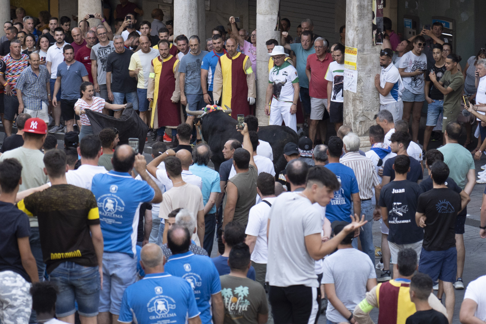 Inicio del congreso del tor de cuerda en teruel con pasacalles de los pueblos participantes y torro ensogado en la plaza del torico. foto Antonio garcia/Bykofoto. 17/06/22[[[FOTOGRAFOS]]]
