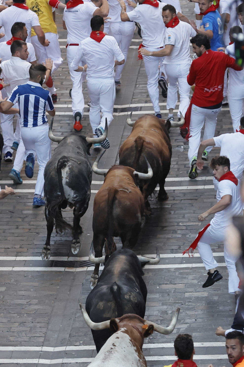Fotos del quinto encierro de San Fermín 2022 Imágenes