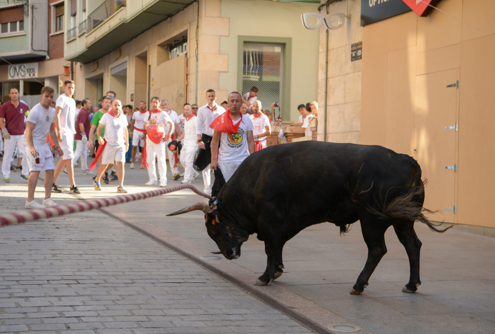 Los toros ensogados cierran con mucho público y sin cogidas La Vaquilla más esperada.