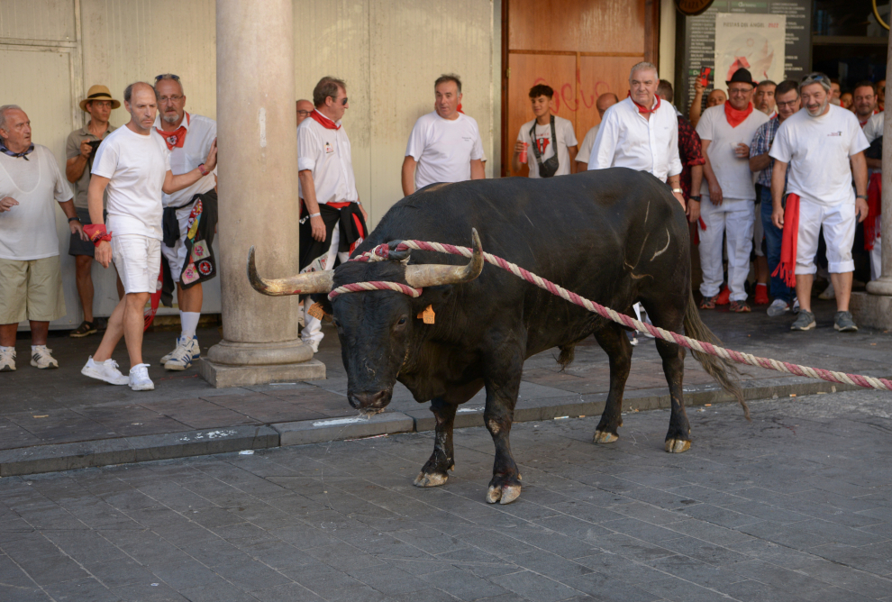 Los toros ensogados cierran con mucho público y sin cogidas La Vaquilla más esperada.