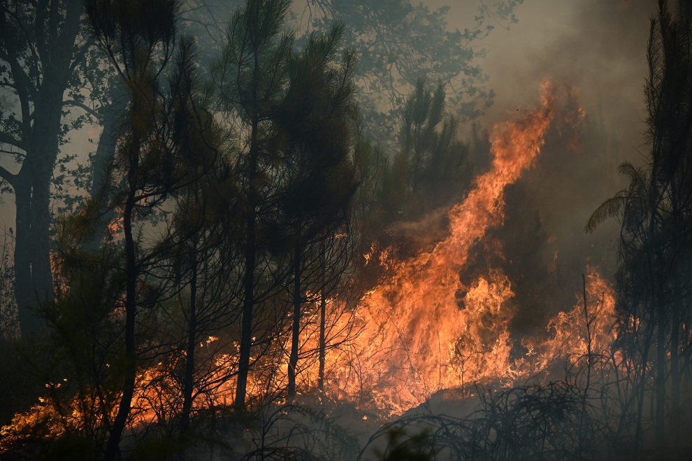 Incendios forestales en Francia.