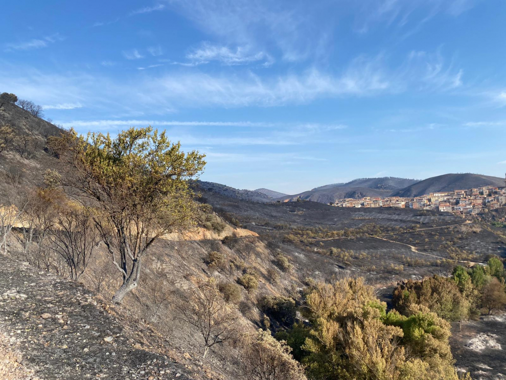 Los vecinos pudieron volver este jueves al municipio de Moros, uno de los más afectados por el incendio en Ateca, donde los campos han quedado arrasados por el fuego.