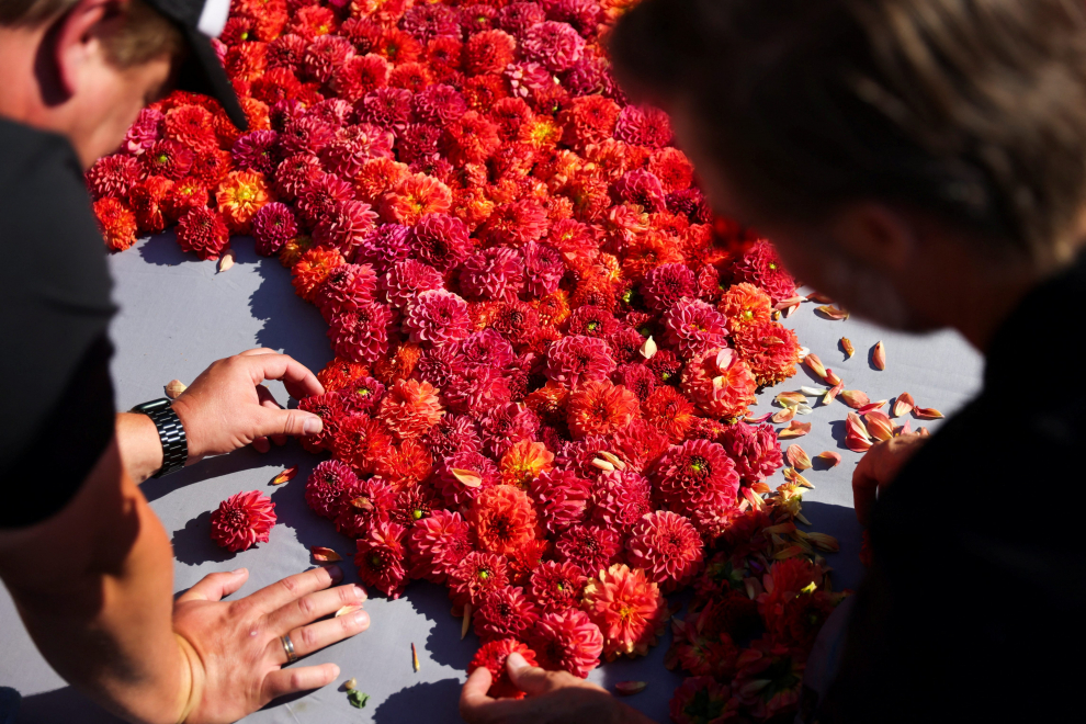 A gardener adjusts flowers on a 1,680 square meters flower carpet made with Belgian begonias, dahlias, grasses, barks and chrysanthemums, at Brussels Grand Place, Belgium, August 12, 2022. REUTERS/Johanna Geron BELGIUM-FLOWERS/
