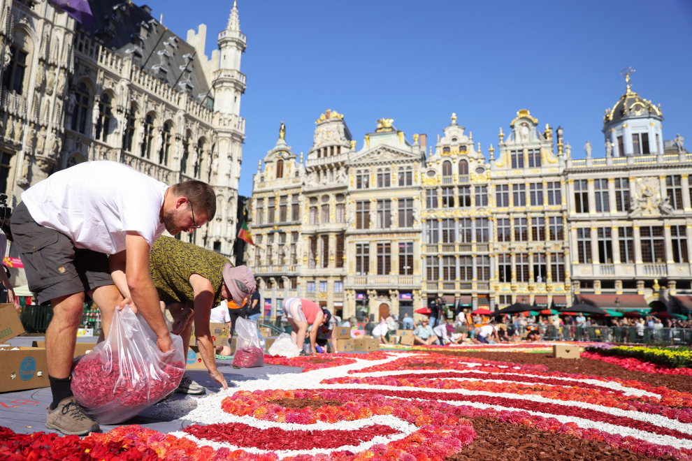 Gardeners adjust flowers on a 1,680 square meters flower carpet made with Belgian begonias, dahlias, grasses, barks and chrysanthemums, at Brussels Grand Place, Belgium, August 12, 2022. REUTERS/Johanna Geron BELGIUM-FLOWERS/