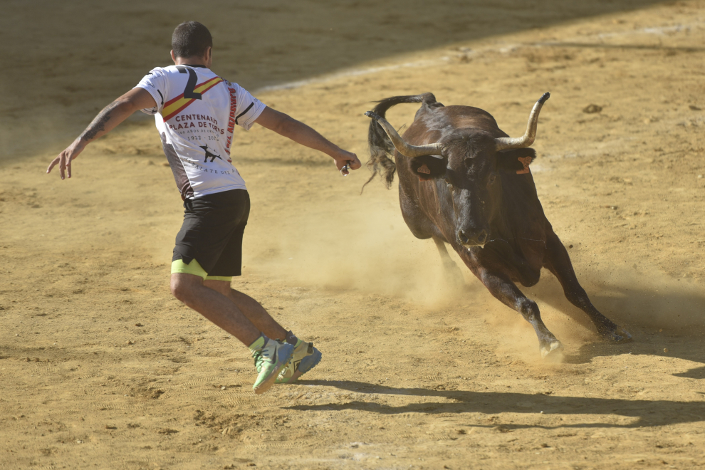 La plaza de toros de Huesca ha celebrado la segunda suelta de vaquillas de San Lorenzo con varios revolcones, uno de ellos grave.