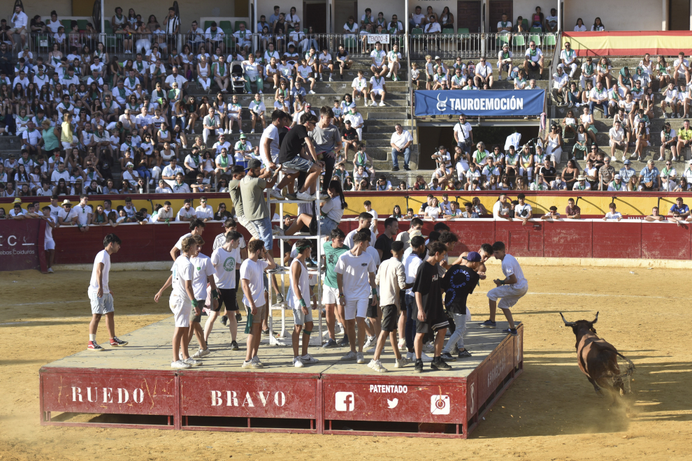 La plaza de toros de Huesca ha celebrado la segunda suelta de vaquillas de San Lorenzo con varios revolcones, uno de ellos grave.