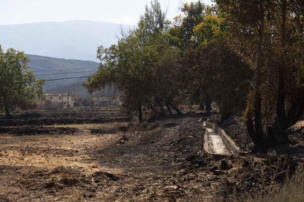 El regreso a casa de los vecinos evacuados por el incendio del Moncayo.