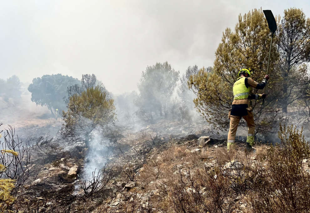 Los Bomberos de Zaragoza colaboran en las labores de extinción del incendio del Moncayo.